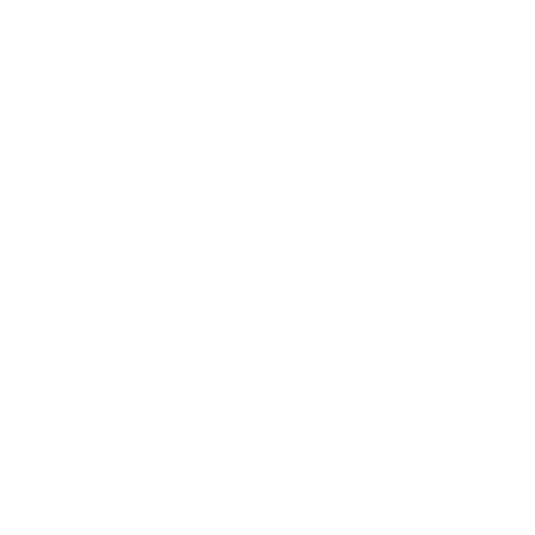 s5l productions logo transparent